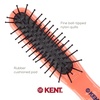 image:imageKent ARTH1 Baby Hair Brush Hair Brush for Kids Small Brushes for Hair and Travel Brush Hair Detangler with NonScratch Nylon Bristles for Gentle Detangling Arthedz Mischievous Cats PatternJemima