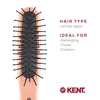 image:imageKent ARTH1 Baby Hair Brush Hair Brush for Kids Small Brushes for Hair and Travel Brush Hair Detangler with NonScratch Nylon Bristles for Gentle Detangling Arthedz Mischievous Cats PatternFlopsy