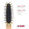 image:imageKent ARTH1 Baby Hair Brush Hair Brush for Kids Small Brushes for Hair and Travel Brush Hair Detangler with NonScratch Nylon Bristles for Gentle Detangling Arthedz Mischievous Cats PatternHearts N Roses