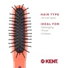 image:imageKent ARTH1 Baby Hair Brush Hair Brush for Kids Small Brushes for Hair and Travel Brush Hair Detangler with NonScratch Nylon Bristles for Gentle Detangling Arthedz Mischievous Cats PatternJemima