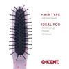 image:imageKent ARTH1 Baby Hair Brush Hair Brush for Kids Small Brushes for Hair and Travel Brush Hair Detangler with NonScratch Nylon Bristles for Gentle Detangling Arthedz Mischievous Cats PatternMischievous Cats