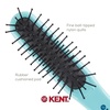 image:imageKent ARTH1 Baby Hair Brush Hair Brush for Kids Small Brushes for Hair and Travel Brush Hair Detangler with NonScratch Nylon Bristles for Gentle Detangling Arthedz Mischievous Cats PatternPeter Rabbit