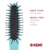 image:imageKent ARTH1 Baby Hair Brush Hair Brush for Kids Small Brushes for Hair and Travel Brush Hair Detangler with NonScratch Nylon Bristles for Gentle Detangling Arthedz Mischievous Cats PatternPeter Rabbit