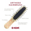 image:imageKent ARTH1 Baby Hair Brush Hair Brush for Kids Small Brushes for Hair and Travel Brush Hair Detangler with NonScratch Nylon Bristles for Gentle Detangling Arthedz Mischievous Cats PatternHearts N Roses