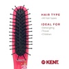 image:imageKent ARTH1 Baby Hair Brush Hair Brush for Kids Small Brushes for Hair and Travel Brush Hair Detangler with NonScratch Nylon Bristles for Gentle Detangling Arthedz Mischievous Cats PatternDainty Ballerinas