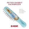 image:imageKent ARTH1 Baby Hair Brush Hair Brush for Kids Small Brushes for Hair and Travel Brush Hair Detangler with NonScratch Nylon Bristles for Gentle Detangling Arthedz Mischievous Cats PatternPeter Rabbit