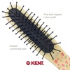 image:imageKent ARTH1 Baby Hair Brush Hair Brush for Kids Small Brushes for Hair and Travel Brush Hair Detangler with NonScratch Nylon Bristles for Gentle Detangling Arthedz Mischievous Cats PatternHearts N Roses