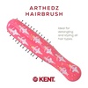 image:imageKent ARTH1 Baby Hair Brush Hair Brush for Kids Small Brushes for Hair and Travel Brush Hair Detangler with NonScratch Nylon Bristles for Gentle Detangling Arthedz Mischievous Cats PatternDainty Ballerinas