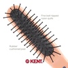 image:imageKent ARTH1 Baby Hair Brush Hair Brush for Kids Small Brushes for Hair and Travel Brush Hair Detangler with NonScratch Nylon Bristles for Gentle Detangling Arthedz Mischievous Cats PatternFlopsy