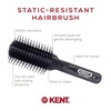 image:imageKent AS8 Anti Static Hair Brush Travel Brush Small Hair Brush for Smoothing Straightening and Curling Short or Medium Hair 7Row Mini Hairbrush Anti Static for Hair Frizz Free Brush Made in England7 Row