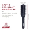 image:imageKent AS8 Anti Static Hair Brush Travel Brush Small Hair Brush for Smoothing Straightening and Curling Short or Medium Hair 7Row Mini Hairbrush Anti Static for Hair Frizz Free Brush Made in England9 Row