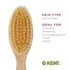 image:imageKent BA10 Newborn Baby Hair Brush with Soft 100 Pure White Natural Bristle Cradle Cap Hairbrush for Infant Toddler and Kids with Cherrywood Base Encourages Growth and Shine Made in EnglandBA29