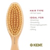 image:imageKent BA10 Newborn Baby Hair Brush with Soft 100 Pure White Natural Bristle Cradle Cap Hairbrush for Infant Toddler and Kids with Cherrywood Base Encourages Growth and Shine Made in EnglandPR04