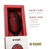 image:imageKent CSFS Classic Shine Large Oval Cushion Straightening Brush and Hair Detangler  Natural Black Boar Bristle Hair Brush  Shine Hair Brush and Scalp Scrubber for Short or ShoulderLength Thick HairLarge