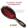 image:imageKent CSFS Classic Shine Large Oval Cushion Straightening Brush and Hair Detangler  Natural Black Boar Bristle Hair Brush  Shine Hair Brush and Scalp Scrubber for Short or ShoulderLength Thick HairMedium