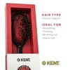 image:imageKent CSFS Classic Shine Large Oval Cushion Straightening Brush and Hair Detangler  Natural Black Boar Bristle Hair Brush  Shine Hair Brush and Scalp Scrubber for Short or ShoulderLength Thick HairMedium