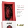image:imageKent CSFS Classic Shine Large Oval Cushion Straightening Brush and Hair Detangler  Natural Black Boar Bristle Hair Brush  Shine Hair Brush and Scalp Scrubber for Short or ShoulderLength Thick HairSmall