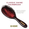 image:imageKent CSFS Classic Shine Large Oval Cushion Straightening Brush and Hair Detangler  Natural Black Boar Bristle Hair Brush  Shine Hair Brush and Scalp Scrubber for Short or ShoulderLength Thick HairSmall