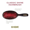image:imageKent CSFS Classic Shine Large Oval Cushion Straightening Brush and Hair Detangler  Natural Black Boar Bristle Hair Brush  Shine Hair Brush and Scalp Scrubber for Short or ShoulderLength Thick HairLarge