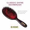 image:imageKent CSFS Classic Shine Large Oval Cushion Straightening Brush and Hair Detangler  Natural Black Boar Bristle Hair Brush  Shine Hair Brush and Scalp Scrubber for Short or ShoulderLength Thick HairLarge