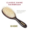 image:imageKent CSGS Classic Shine Small Oval Cushion Straightening Brush and Hair Detangler Natural White Boar Bristle Hair Brush Shine Hair Brush and Scalp Scrubber for MidLength Fine or Thinning HairSmall