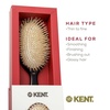 image:imageKent CSGS Classic Shine Small Oval Cushion Straightening Brush and Hair Detangler Natural White Boar Bristle Hair Brush Shine Hair Brush and Scalp Scrubber for MidLength Fine or Thinning HairMedium