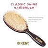 image:imageKent CSGS Classic Shine Small Oval Cushion Straightening Brush and Hair Detangler Natural White Boar Bristle Hair Brush Shine Hair Brush and Scalp Scrubber for MidLength Fine or Thinning HairMedium