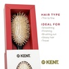 image:imageKent CSGS Classic Shine Small Oval Cushion Straightening Brush and Hair Detangler Natural White Boar Bristle Hair Brush Shine Hair Brush and Scalp Scrubber for MidLength Fine or Thinning HairSmall
