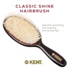 image:imageKent CSGS Classic Shine Small Oval Cushion Straightening Brush and Hair Detangler Natural White Boar Bristle Hair Brush Shine Hair Brush and Scalp Scrubber for MidLength Fine or Thinning HairLarge