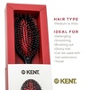 image:imageKent CSML 9 Classic Shine Large Oval Cushion Straightening Brush  Natural Boar Bristle Hairbrush with Nylon Quills  Shine Hair Brush and Scalp Brush for Medium to Thick Hair  Hair Brush CleanerSmall