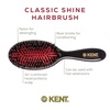 image:imageKent CSML 9 Classic Shine Large Oval Cushion Straightening Brush  Natural Boar Bristle Hairbrush with Nylon Quills  Shine Hair Brush and Scalp Brush for Medium to Thick Hair  Hair Brush CleanerSmall