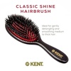 image:imageKent CSML 9 Classic Shine Large Oval Cushion Straightening Brush  Natural Boar Bristle Hairbrush with Nylon Quills  Shine Hair Brush and Scalp Brush for Medium to Thick Hair  Hair Brush CleanerSmall