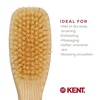 image:imageKent FD5 Beechwood Wood Long Handle Shower Bath Body Brush for Skin Exfoliate and Massage 100 Boar Bristles Best Back Body Foot and Leg Scrubber Brushing for Wet and Dry Body Made in EnglandFD6