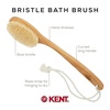 image:imageKent FD5 Beechwood Wood Long Handle Shower Bath Body Brush for Skin Exfoliate and Massage 100 Boar Bristles Best Back Body Foot and Leg Scrubber Brushing for Wet and Dry Body Made in EnglandFD10
