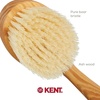 image:imageKent FD5 Beechwood Wood Long Handle Shower Bath Body Brush for Skin Exfoliate and Massage 100 Boar Bristles Best Back Body Foot and Leg Scrubber Brushing for Wet and Dry Body Made in EnglandFD10
