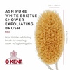 image:imageKent FD5 Beechwood Wood Long Handle Shower Bath Body Brush for Skin Exfoliate and Massage 100 Boar Bristles Best Back Body Foot and Leg Scrubber Brushing for Wet and Dry Body Made in EnglandFD11
