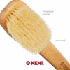 image:imageKent FD5 Beechwood Wood Long Handle Shower Bath Body Brush for Skin Exfoliate and Massage 100 Boar Bristles Best Back Body Foot and Leg Scrubber Brushing for Wet and Dry Body Made in EnglandFD5