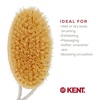 image:imageKent FD5 Beechwood Wood Long Handle Shower Bath Body Brush for Skin Exfoliate and Massage 100 Boar Bristles Best Back Body Foot and Leg Scrubber Brushing for Wet and Dry Body Made in EnglandFD11