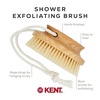 image:imageKent FD5 Beechwood Wood Long Handle Shower Bath Body Brush for Skin Exfoliate and Massage 100 Boar Bristles Best Back Body Foot and Leg Scrubber Brushing for Wet and Dry Body Made in EnglandFD11