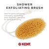 image:imageKent FD5 Beechwood Wood Long Handle Shower Bath Body Brush for Skin Exfoliate and Massage 100 Boar Bristles Best Back Body Foot and Leg Scrubber Brushing for Wet and Dry Body Made in EnglandFD11