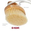 image:imageKent FD5 Beechwood Wood Long Handle Shower Bath Body Brush for Skin Exfoliate and Massage 100 Boar Bristles Best Back Body Foot and Leg Scrubber Brushing for Wet and Dry Body Made in EnglandFD11