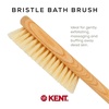 image:imageKent FD5 Beechwood Wood Long Handle Shower Bath Body Brush for Skin Exfoliate and Massage 100 Boar Bristles Best Back Body Foot and Leg Scrubber Brushing for Wet and Dry Body Made in EnglandFD5