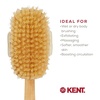 image:imageKent FD5 Beechwood Wood Long Handle Shower Bath Body Brush for Skin Exfoliate and Massage 100 Boar Bristles Best Back Body Foot and Leg Scrubber Brushing for Wet and Dry Body Made in EnglandFD3