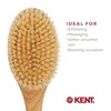 image:imageKent FD5 Beechwood Wood Long Handle Shower Bath Body Brush for Skin Exfoliate and Massage 100 Boar Bristles Best Back Body Foot and Leg Scrubber Brushing for Wet and Dry Body Made in EnglandFD10