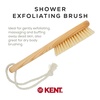 image:imageKent FD5 Beechwood Wood Long Handle Shower Bath Body Brush for Skin Exfoliate and Massage 100 Boar Bristles Best Back Body Foot and Leg Scrubber Brushing for Wet and Dry Body Made in EnglandFD6