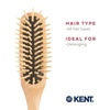 image:imageKent KB Woodyhog Travel Size Detangling Brush Beechwood Firm Rounded Wooden Bristles Natural Cushion Detangler Wooden Hair Brush for Women Men and Kids Everyday Care Made in EnglandWood