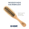 image:imageKent KB Woodyhog Travel Size Detangling Brush Beechwood Firm Rounded Wooden Bristles Natural Cushion Detangler Wooden Hair Brush for Women Men and Kids Everyday Care Made in EnglandWood