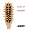 image:imageKent KB Woodyhog Travel Size Detangling Brush Beechwood Firm Rounded Wooden Bristles Natural Cushion Detangler Wooden Hair Brush for Women Men and Kids Everyday Care Made in EnglandWood