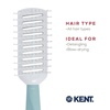image:imageKent KCR3 Create Tunnel Vented Hair Brush for Blowdrying Creating Root Lift and Volume in All Hair Types  Vent Brush with Green Ergonomic Handle and Soft Ball Tipped Bristles for Pain Free UseLarge