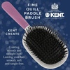 image:imageKent KCR4 Create Small Cushion Brush for Smoothing and Straightening All Hair Types  Paddle Brush with Purple Ergonomic Handle and a Boar BristleNylon Bristle Mix for Smooth Finishing and ShineLarge
